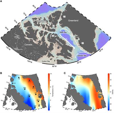 Using Radiocarbon Measurements of Dissolved Inorganic Carbon to Determine a Revised Residence Time for Deep Baffin Bay